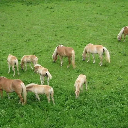 Penzion Badererhof Christine Wechselberger 3*