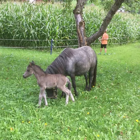 Badererhof Christine Wechselberger Casa de hóspedes Stumm