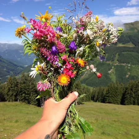 Badererhof Christine Wechselberger *