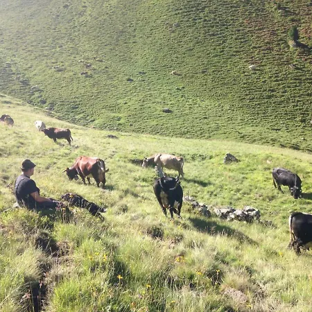 Badererhof Christine Wechselberger 3* Stumm
