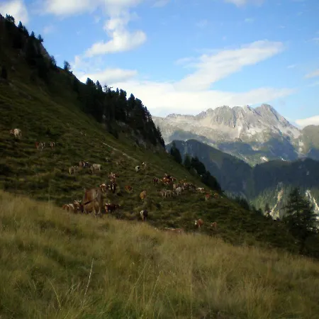 Casa de hóspedes Badererhof Christine Wechselberger