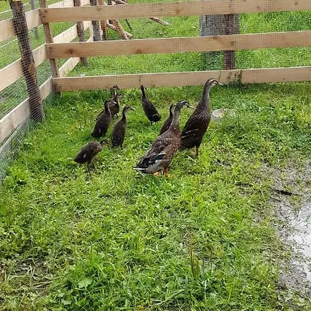 Badererhof Christine Wechselberger