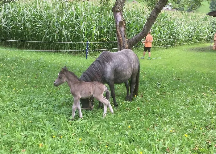 Badererhof Christine Wechselberger بيت ضيافة ستام