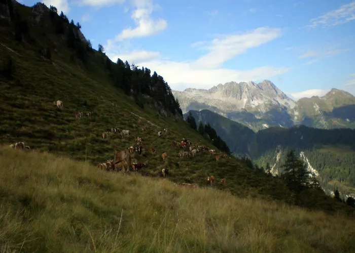 بيت ضيافة Badererhof Christine Wechselberger