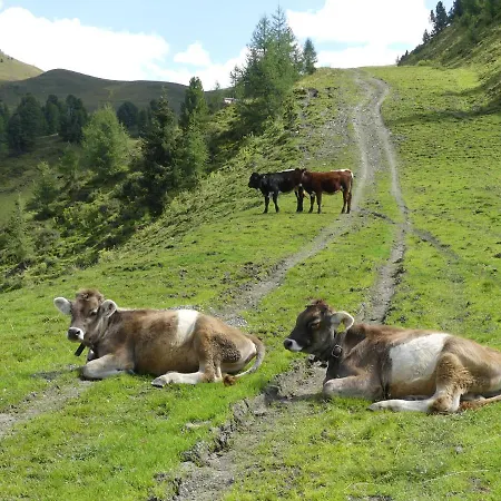 Badererhof Christine Wechselberger ゲストハウス 3*