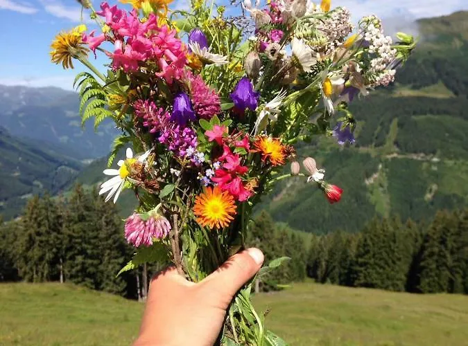 Badererhof Christine Wechselberger 3*